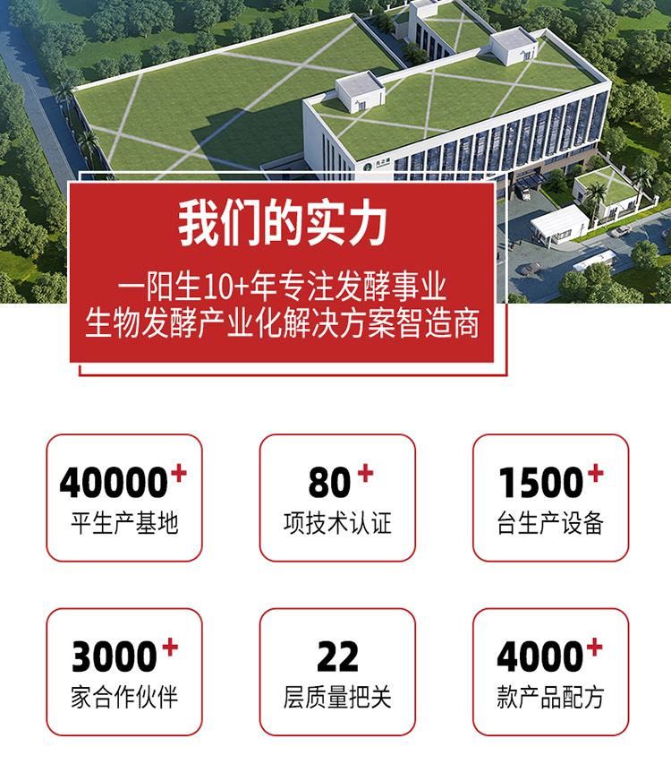 企业优势