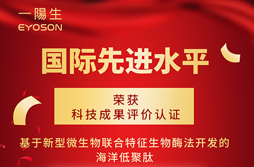 新突破 | 一阳生集团荣获国际先进水平认证，彰显科研实力与创新价值